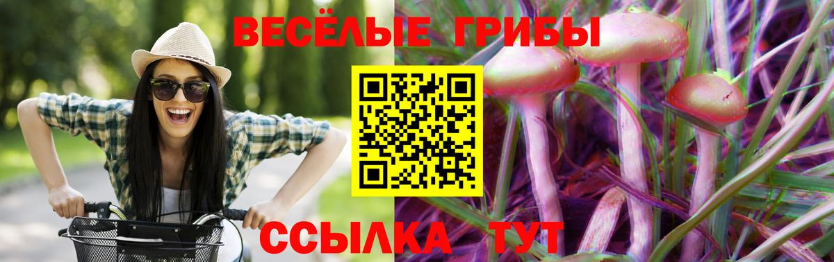 Сызрань  Галлюциногенные грибы ЛСД  наркота  Вход с VPN 